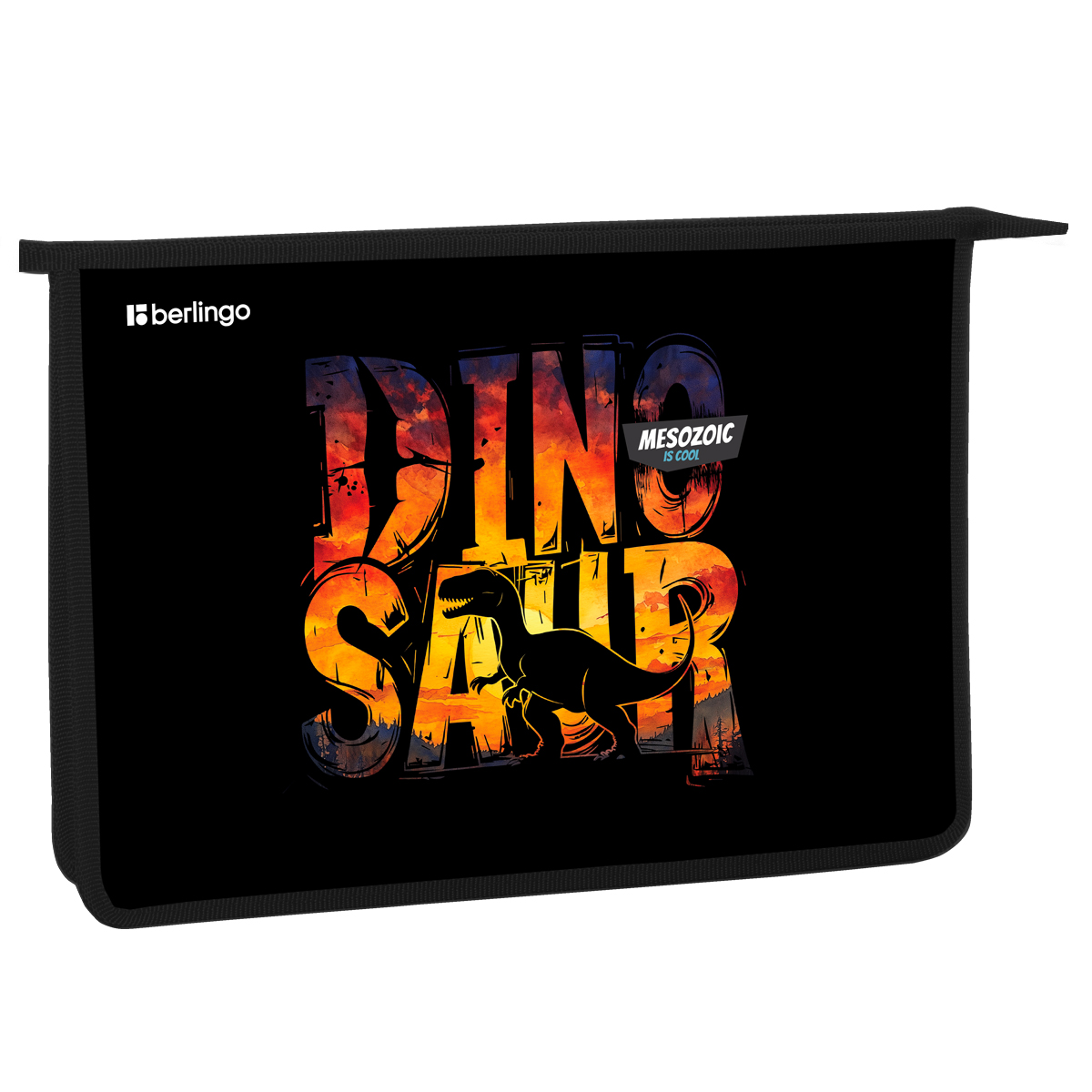 Папка для тетрадей 1 отделение, А4 Berlingo "Where is everyone?", 340*245*40 мм, пластик, на молнии