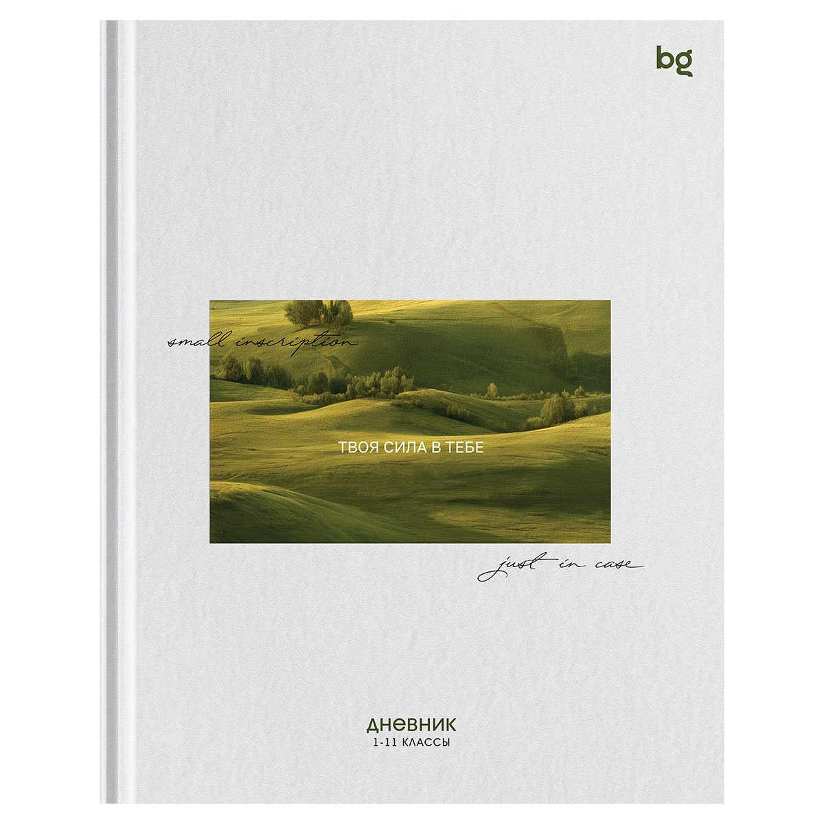 Дневник 1-11 кл. 48л. (твердый) BG "Надпись", матовая ламинация Дневник 1-11 кл. 48л. (твердый) BG "Надпись", матовая ламинация