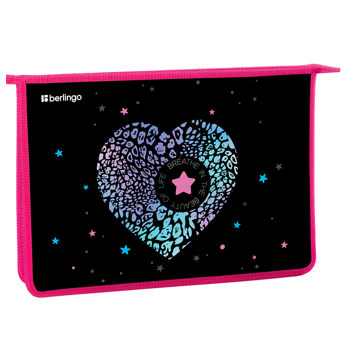 Папка для тетрадей 1 отделение, А4 Berlingo "Beauty", 340*245*40 мм, пластик, на молнии