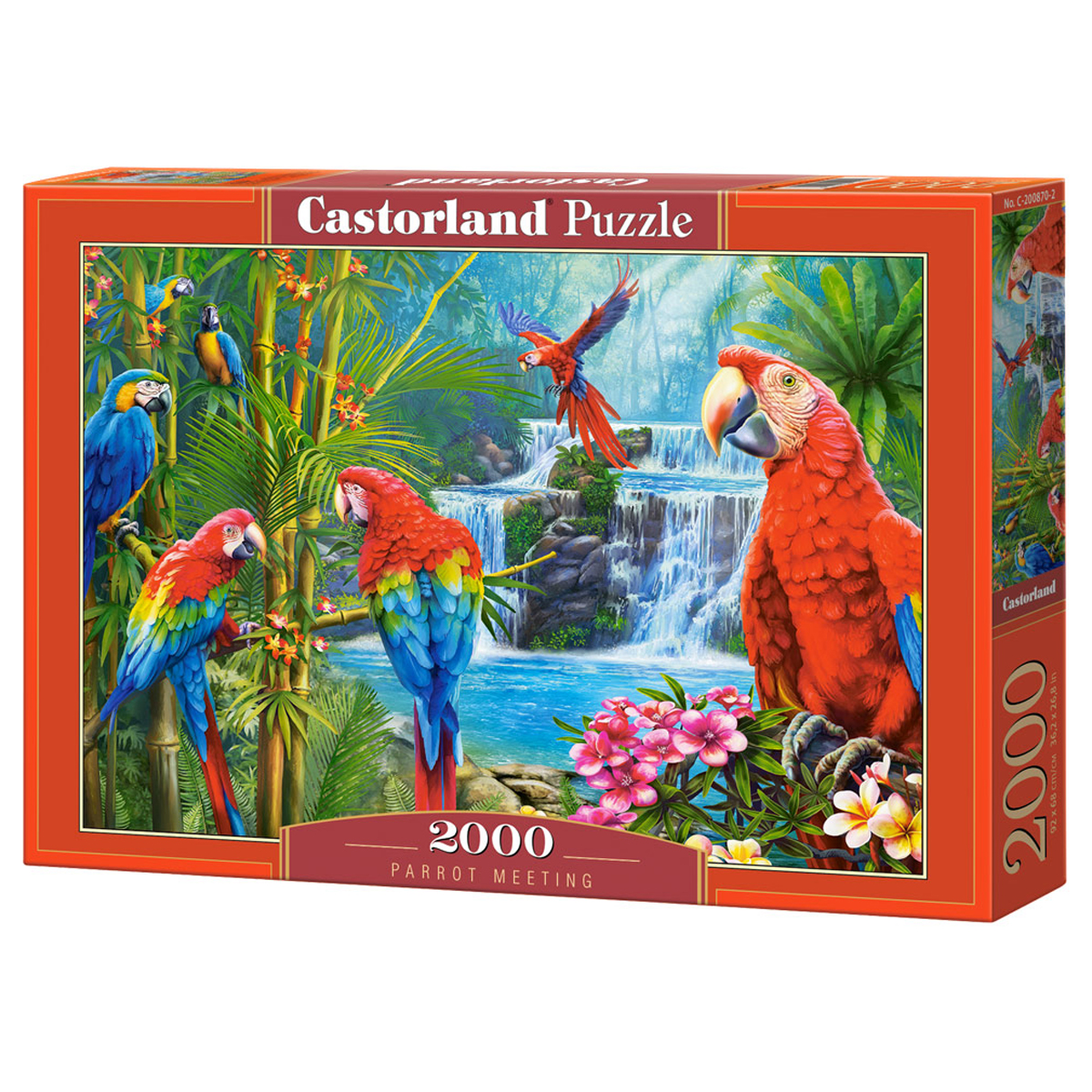     2000 . Castorland   (C-200870)