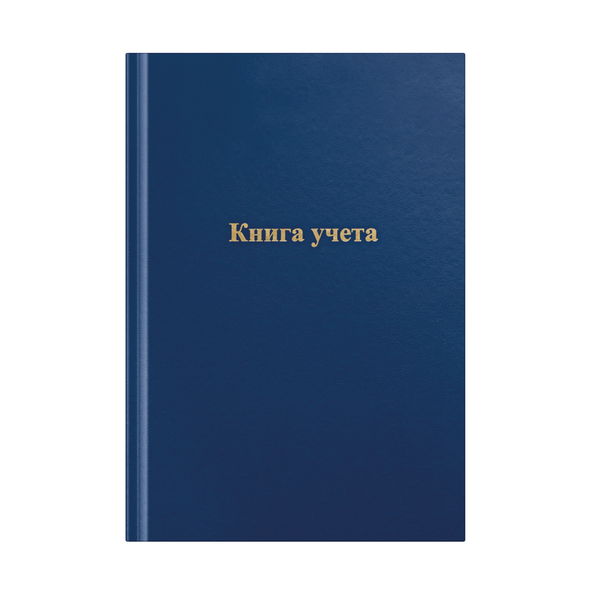 Книга учета OfficeSpace, А4, 192л., клетка, 200*290мм, бумвинил, цвет синий, блок газетный