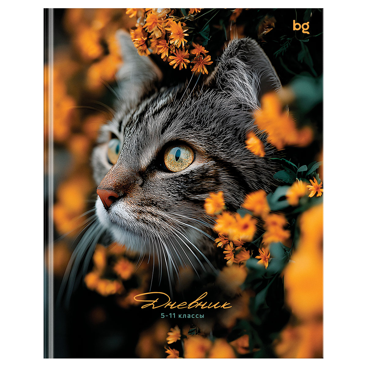 Дневник 5-11 кл. 48л. (ЛАЙТ) BG "Прятки", глянцевая ламинация Дневник 5-11 кл. 48л. (ЛАЙТ) BG "Прятки", глянцевая ламинация