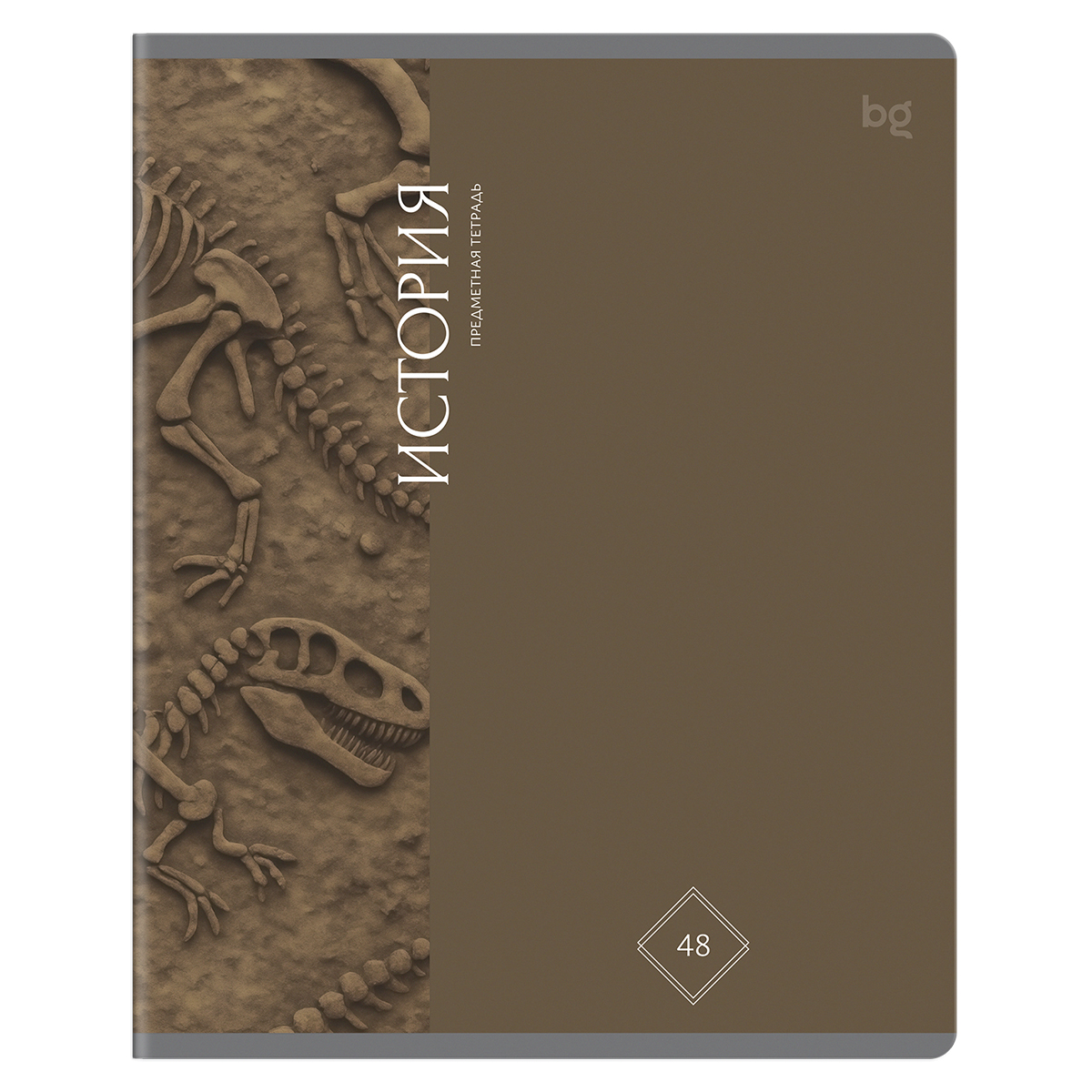 Тетрадь предметная 48л. BG "Гармония знаний" - История, "софт тач" ламинация