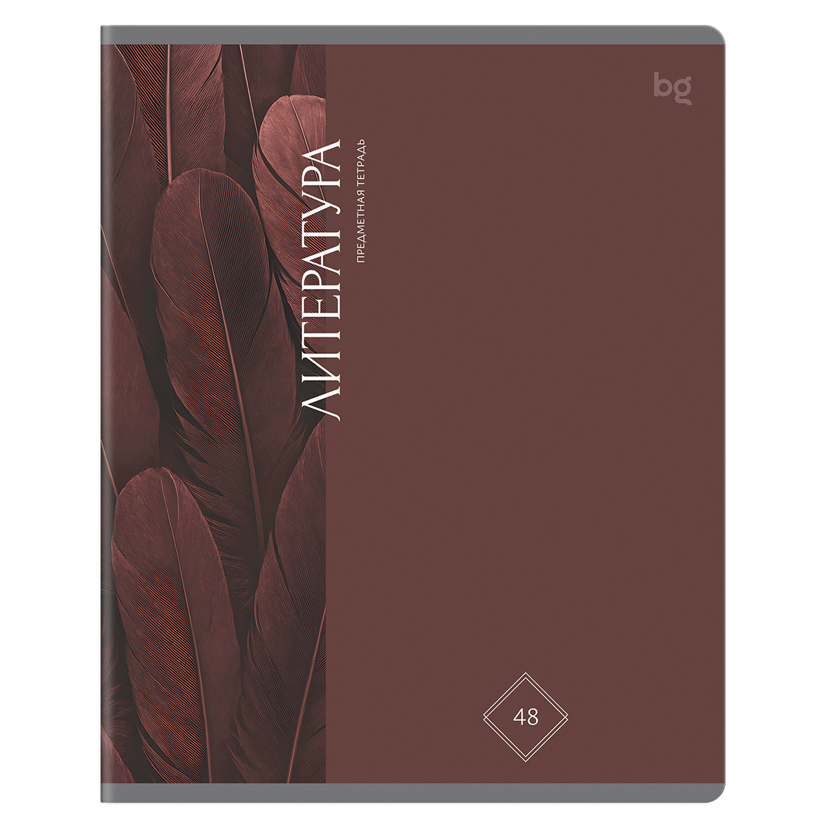 Тетрадь предметная 48л. BG "Гармония знаний" - Литература, "софт тач" ламинация